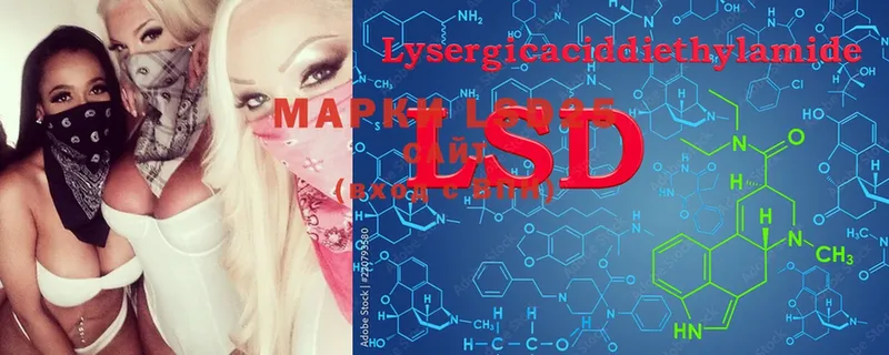 МЕГА зеркало  Богородицк  LSD-25 экстази ecstasy 